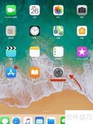 iPad程序自动更新设置指南