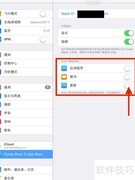 iPad应用自动更新设置指南