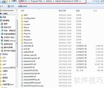 Adobe崩溃报告服务停止工作