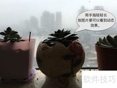 苹果Live Photo拍摄与使用技巧