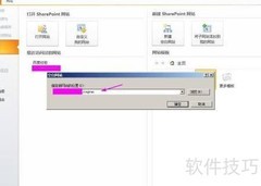 SharePoint Designer 实用技巧