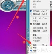 网络播放器自动加载字幕设置
