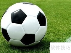 如何成为一名真正的球迷