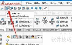 SW前视图设置方法