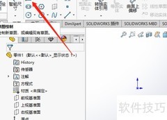 SW前视图设置方法