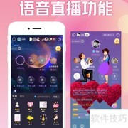 语音直播系统核心功能解析