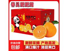 超值！四川耙耙柑5斤装，满10减5券后14.9元