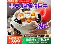 奥克斯砭石艾灸按摩器