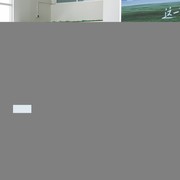 20万元内四款主力汽油紧凑型轿车深度横评：欧拉5、凌渡、桑塔纳、轩逸实测对比