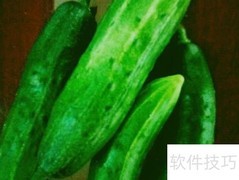 夏日家常凉菜做法分享