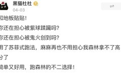 忍者必须死3：苏菲式森林跑法新突破