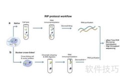 掌握RIP动态路由配置