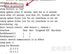 Cisco接口禁用RIP配置方法