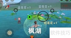 黑马饲料制作方法