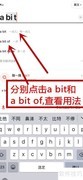 a bit与a bit of用法解析