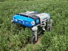 我国首台鲜食蚕豆采收机器人田间成功作业，实现智能采收从0到1突破