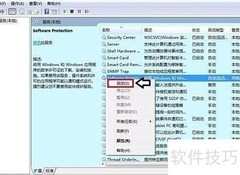 Software保护服务问题解决