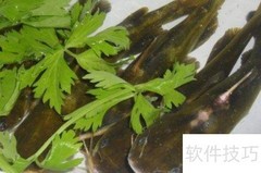 汪丫鱼的营养与健康功效