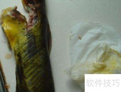 汪丫鱼的营养与健康功效