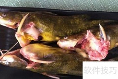 家常红烧汪丫鱼做法