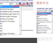 Sonic软件使用入门指南