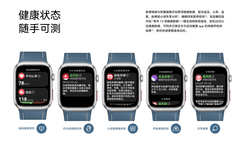 送礼就送健康，就送华为WATCH D2，腕上血压专家精准守护冬日健康