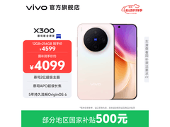 vivo X300幸运彩版钜惠