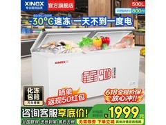 星星冰柜500R商用全冷冻款