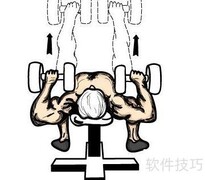 哑铃健身一周计划