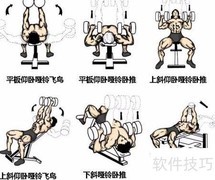 哑铃锻炼全攻略