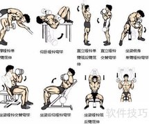 哑铃锻炼全攻略