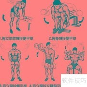 哑铃锻炼全攻略