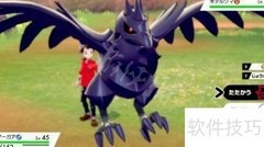 剑盾超极巨化查看方法