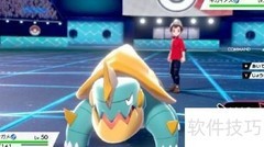 宝可梦剑盾超巨化刷法