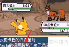 剑盾10.1极巨化攻略