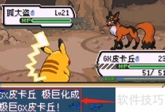 剑盾10.1极巨化攻略