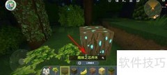 雨林之眼获取方法