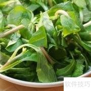 马兰头豆腐卷轻松做