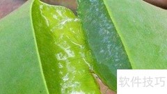祛痘小妙招，轻松搞定痘痘