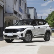 四款20万内紧凑SUV横评：混动、复古与豪华如何各展所长