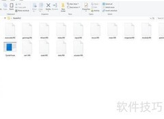 Qrule生成景观格局