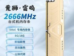 拼多多百亿补贴固德佳16GB内存低至388元