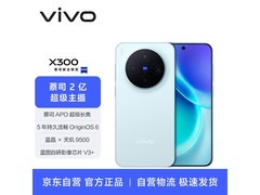vivo X300 16GB 1TB自在蓝款京东特惠