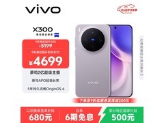 vivo X300 16+512 惬意紫版京东直降千元