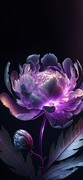 活下去：姬特哨戒炮任务攻略