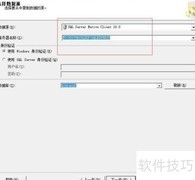 SQL Server数据导出指南