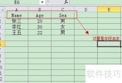 Excel数据导入SQL Server