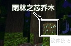 迷你世界雨林天气预报器使用指南