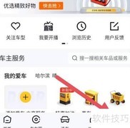 懂车帝查看保养手册指南