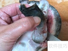 备孕甲鱼汤简易做法